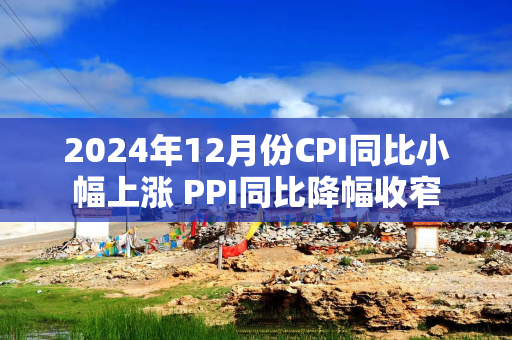 2024年12月份CPI同比小幅上涨 PPI同比降幅收窄