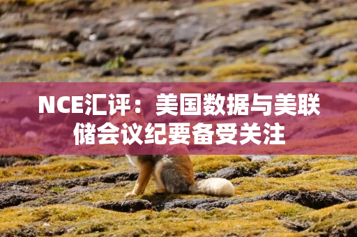 NCE汇评：美国数据与美联储会议纪要备受关注