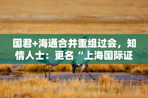 国君+海通合并重组过会，知情人士：更名“上海国际证券”不属实