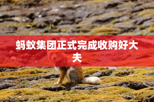 蚂蚁集团正式完成收购好大夫