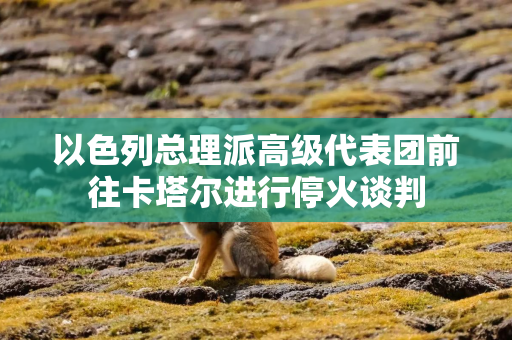 以色列总理派高级代表团前往卡塔尔进行停火谈判
