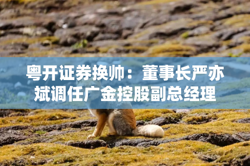 粤开证券换帅：董事长严亦斌调任广金控股副总经理