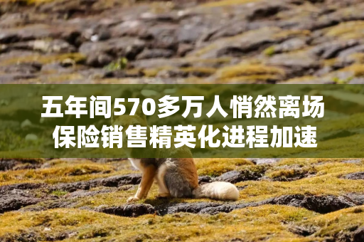 五年间570多万人悄然离场 保险销售精英化进程加速