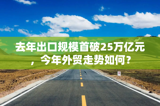 去年出口规模首破25万亿元，今年外贸走势如何？