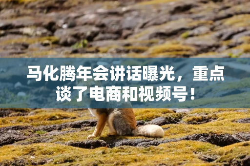马化腾年会讲话曝光，重点谈了电商和视频号！