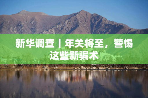 新华调查丨年关将至，警惕这些新骗术