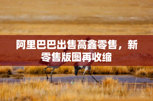 阿里巴巴出售高鑫零售，新零售版图再收缩