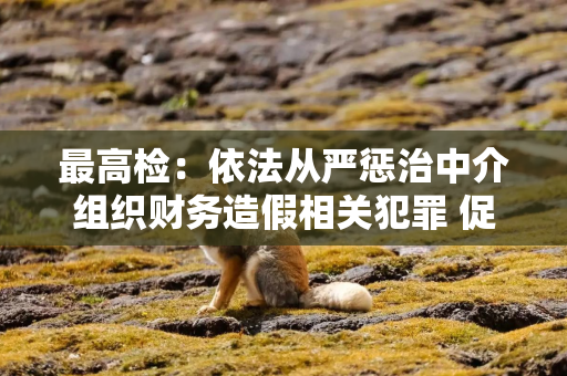 最高检：依法从严惩治中介组织财务造假相关犯罪 促进资本市场健康稳定发展