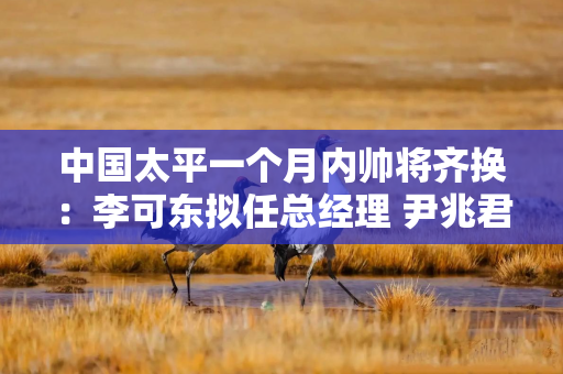 中国太平一个月内帅将齐换：李可东拟任总经理 尹兆君接任董事长