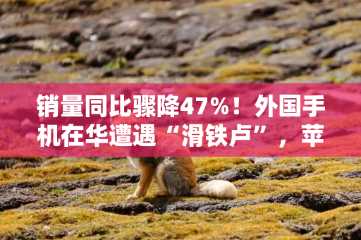 销量同比骤降47%！外国手机在华遭遇“滑铁卢”，苹果不香了？