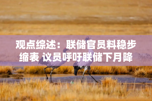 观点综述：联储官员料稳步缩表 议员呼吁联储下月降息 特朗普或撑市