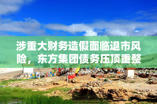 涉重大财务造假面临退市风险，东方集团债务压顶重整存变数