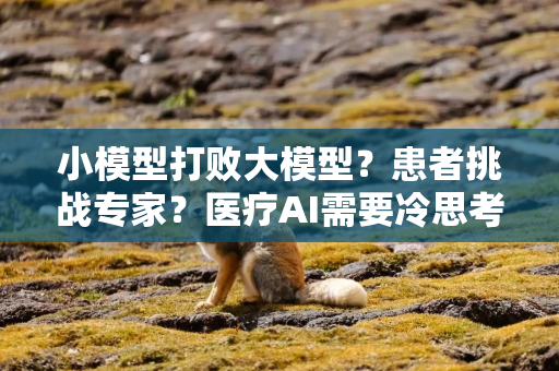 小模型打败大模型？患者挑战专家？医疗AI需要冷思考