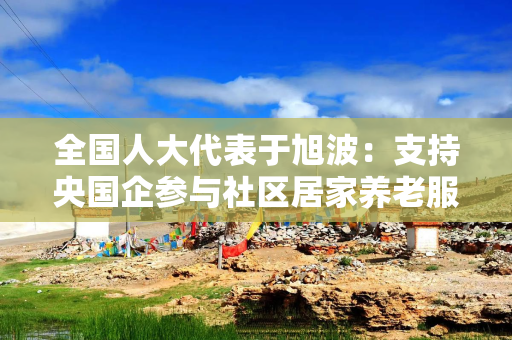 全国人大代表于旭波：支持央国企参与社区居家养老服务体系建设