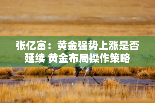 张亿富：黄金强势上涨是否延续 黄金布局操作策略