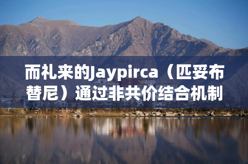 而礼来的Jaypirca（匹妥布替尼）通过非共价结合机制巧妙规避了C481S突变导致的耐药问题
