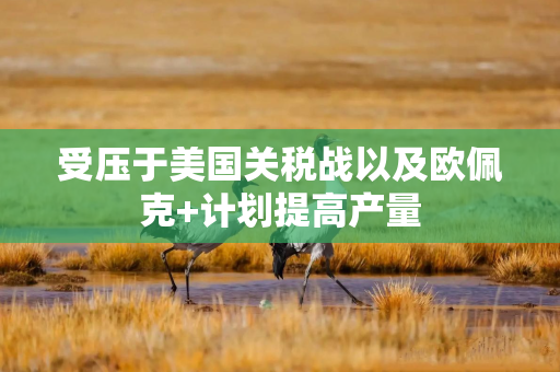 受压于美国关税战以及欧佩克+计划提高产量