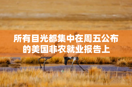 所有目光都集中在周五公布的美国非农就业报告上
