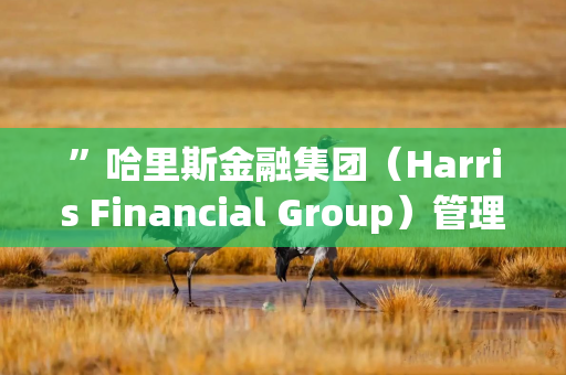 ”哈里斯金融集团（Harris Financial Group）管理合伙人杰米·考克斯（Jamie Cox）表示