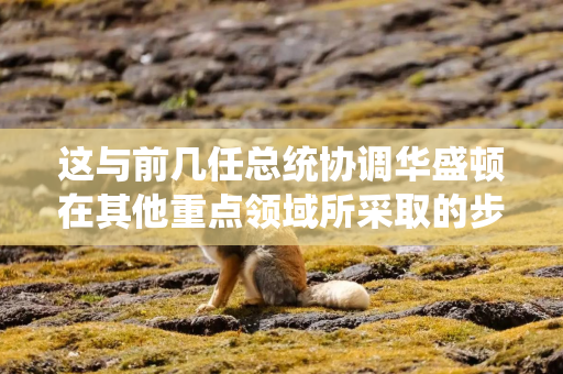 这与前几任总统协调华盛顿在其他重点领域所采取的步骤类似