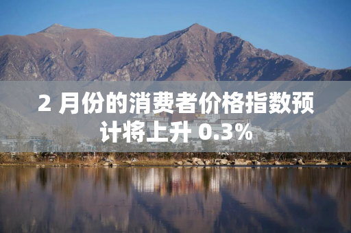 2 月份的消费者价格指数预计将上升 0.3%