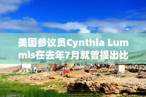 美国参议员Cynthia Lummis在去年7月就曾提出比特币战略储备计划