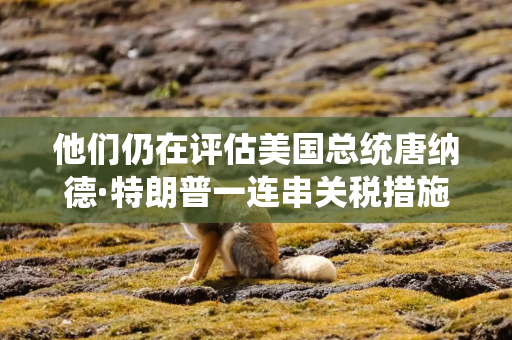 他们仍在评估美国总统唐纳德·特朗普一连串关税措施以及欧洲加大军费开支的影响
