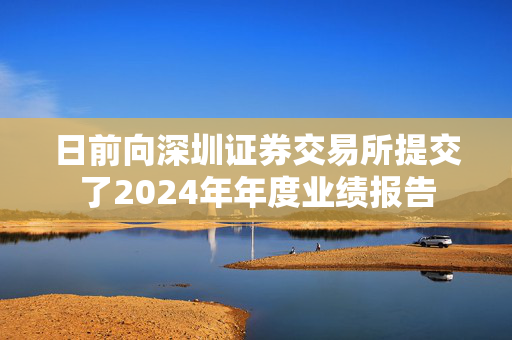 日前向深圳证券交易所提交了2024年年度业绩报告