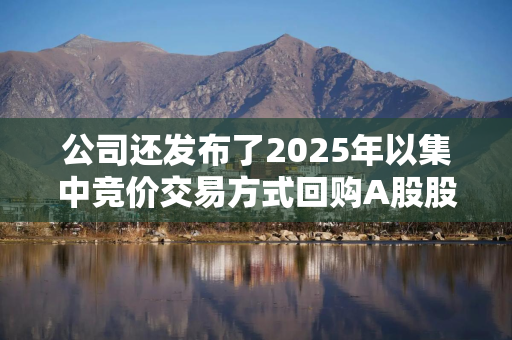 公司还发布了2025年以集中竞价交易方式回购A股股份的预案