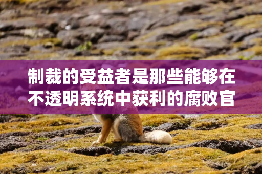 制裁的受益者是那些能够在不透明系统中获利的腐败官员和中间商