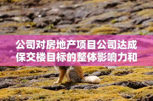 公司对房地产项目公司达成保交楼目标的整体影响力和谈判力更大