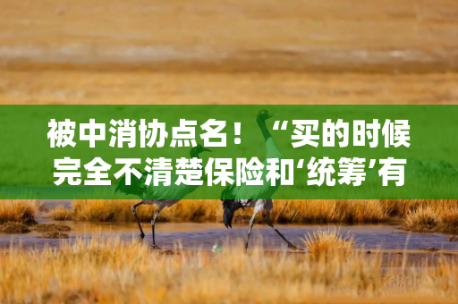 被中消协点名！“买的时候完全不清楚保险和‘统筹’有啥区别！……”