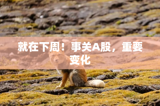 就在下周！事关A股，重要变化