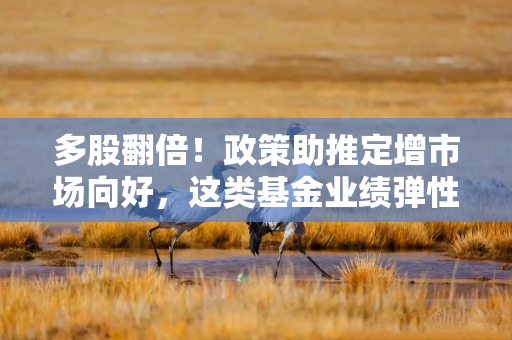 多股翻倍！政策助推定增市场向好，这类基金业绩弹性好