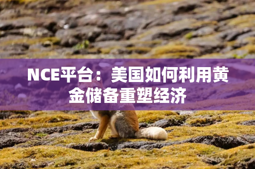 NCE平台：美国如何利用黄金储备重塑经济