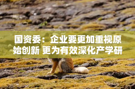 国资委：企业要更加重视原始创新 更为有效深化产学研协同
