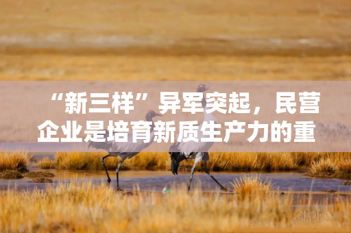 “新三样”异军突起，民营企业是培育新质生产力的重要力量
