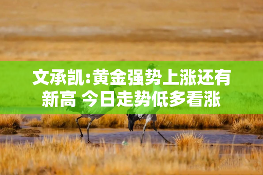 文承凯:黄金强势上涨还有新高 今日走势低多看涨