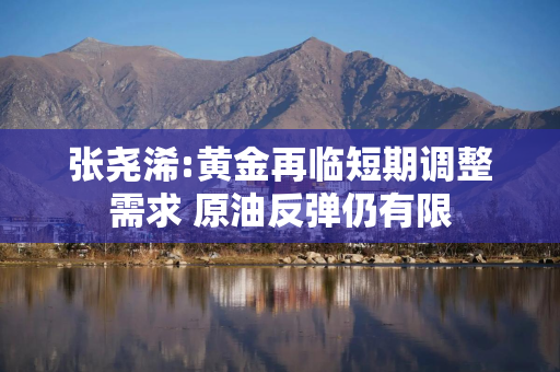 张尧浠:黄金再临短期调整需求 原油反弹仍有限
