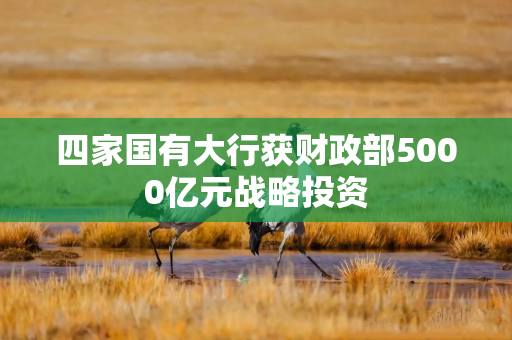 四家国有大行获财政部5000亿元战略投资