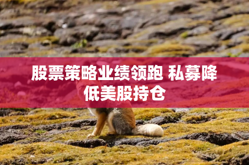 股票策略业绩领跑 私募降低美股持仓