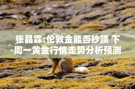 张晶霖:伦敦金能否抄顶 下周一黄金行情走势分析预测