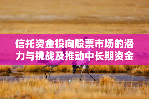 信托资金投向股票市场的潜力与挑战及推动中长期资金入市的策略