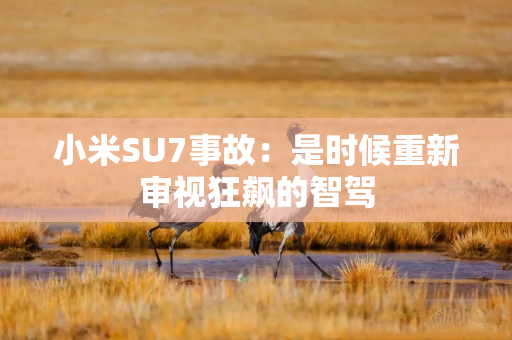 小米SU7事故：是时候重新审视狂飙的智驾