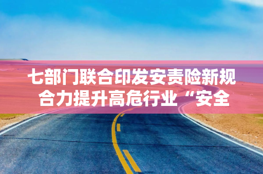 七部门联合印发安责险新规 合力提升高危行业“安全系数”