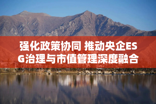 强化政策协同 推动央企ESG治理与市值管理深度融合