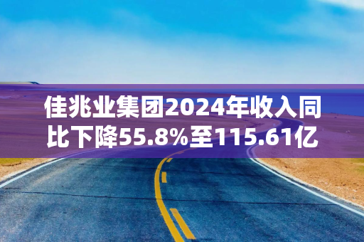 佳兆业集团2024年收入同比下降55.8%至115.61亿元 土地储备达2231万平方米
