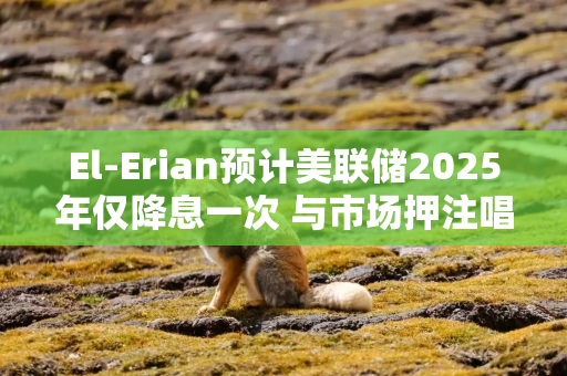 El-Erian预计美联储2025年仅降息一次 与市场押注唱反调