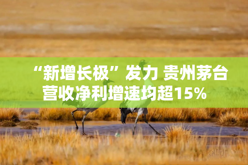 “新增长极”发力 贵州茅台营收净利增速均超15%