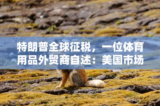 特朗普全球征税，一位体育用品外贸商自述：美国市场，不做也罢
